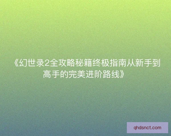 《幻世录2全攻略秘籍终极指南从新手到高手的完美进阶路线》
