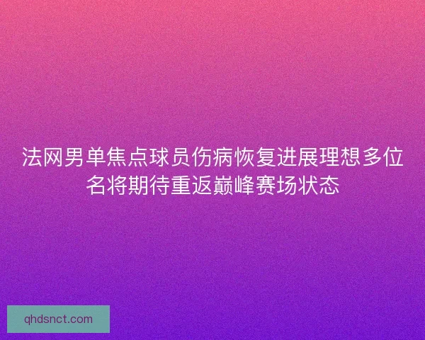 法网男单焦点球员伤病恢复进展理想多位名将期待重返巅峰赛场状态
