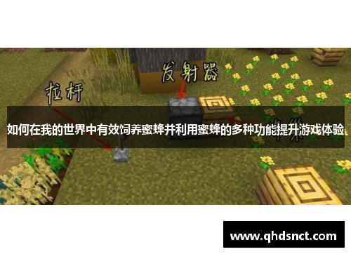 如何在我的世界中有效饲养蜜蜂并利用蜜蜂的多种功能提升游戏体验