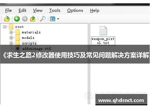 《求生之路2修改器使用技巧及常见问题解决方案详解》