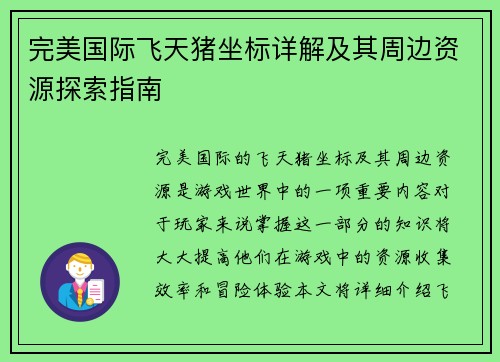 完美国际飞天猪坐标详解及其周边资源探索指南